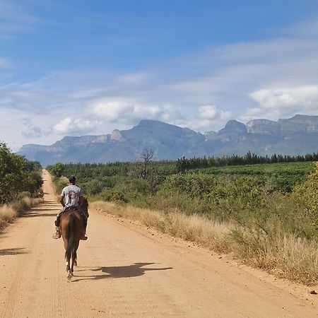 Thandolwami Bushlodge & Spa 侯斯普瑞特 外观 照片