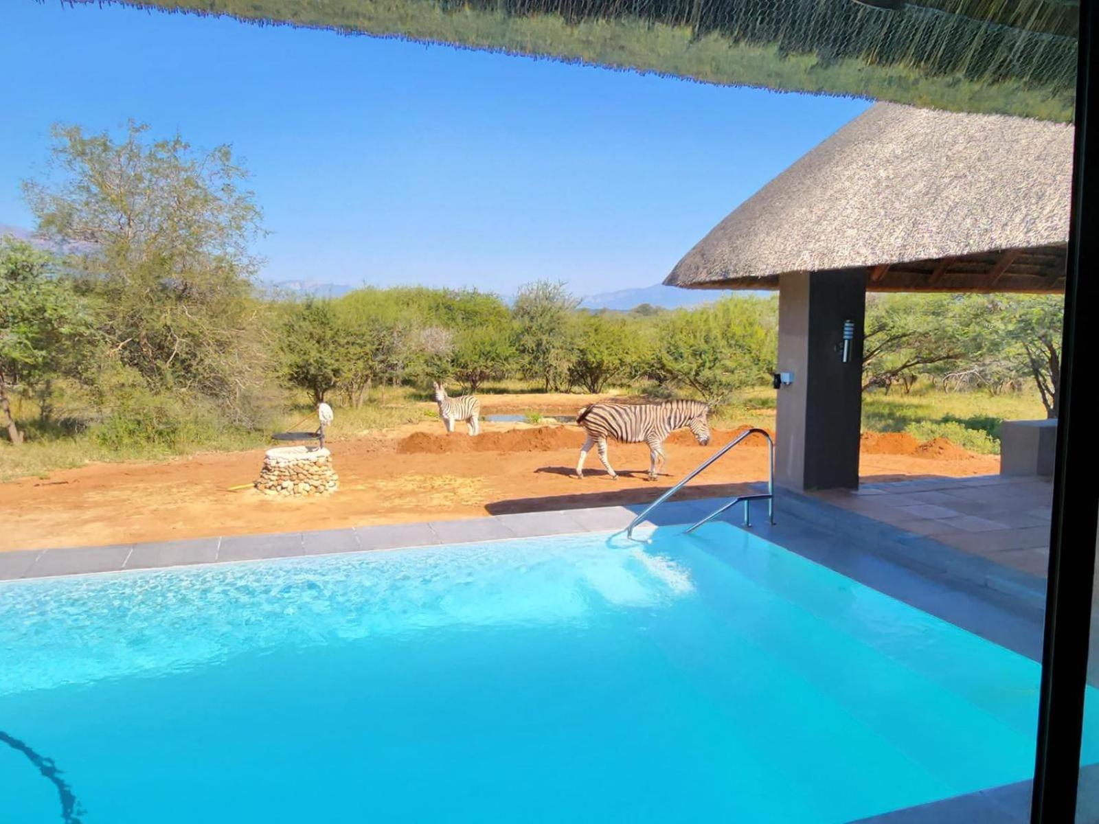 Thandolwami Bushlodge & Spa 侯斯普瑞特 外观 照片