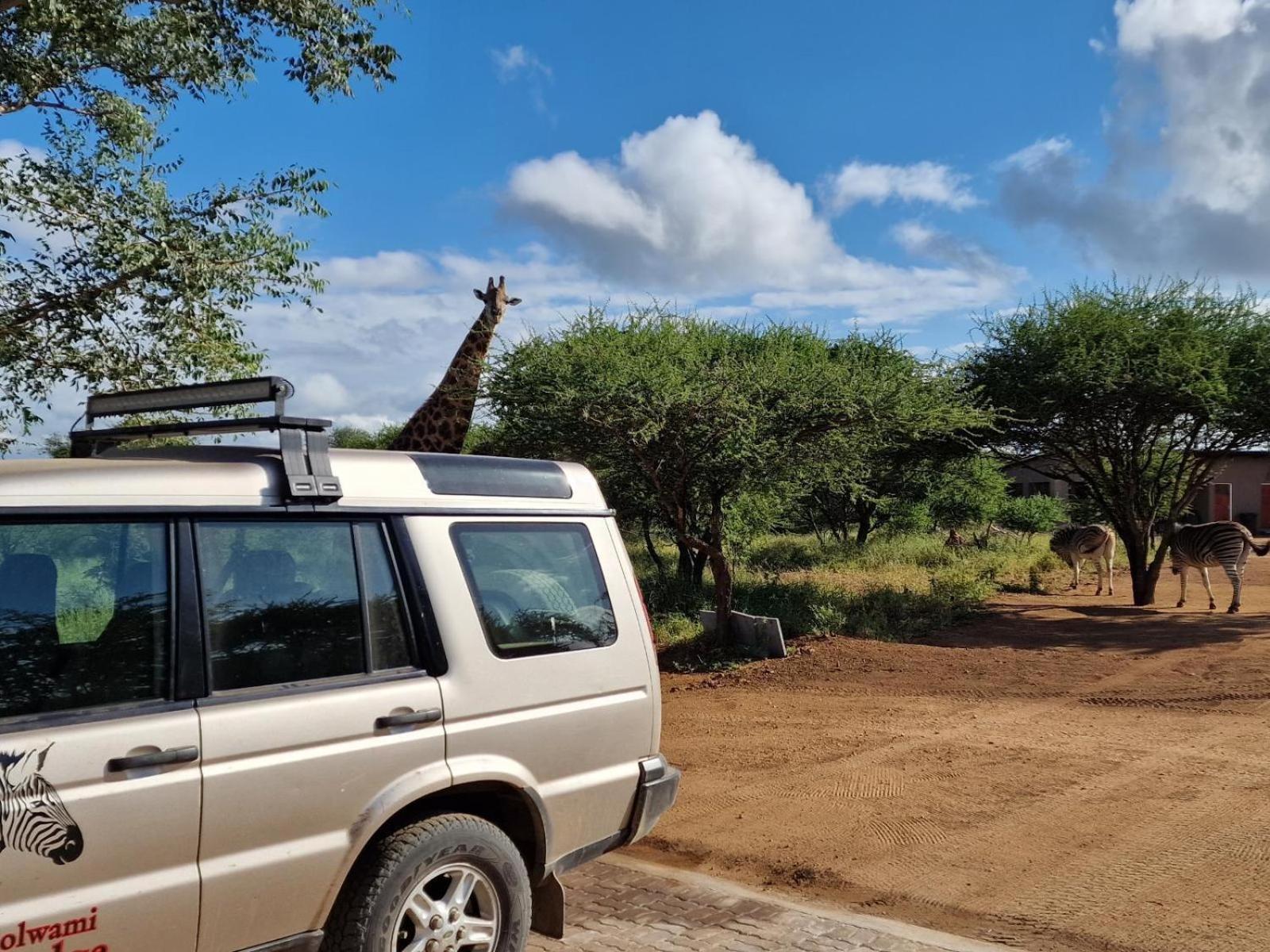 Thandolwami Bushlodge & Spa 侯斯普瑞特 外观 照片